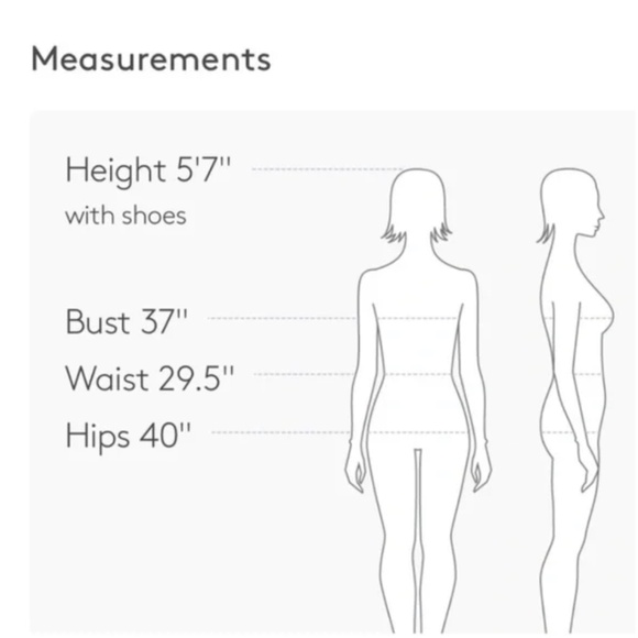 Hayley Paige- blush bridal gown - Picture 13 of 16